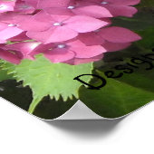 Poster Hydrangeas Rose Foncé (Coin)