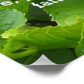 Poster Hydrangeas roses avec Écriture (Coin)