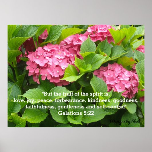 Poster Hydrangeas roses avec Écriture (Devant)