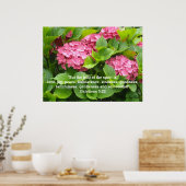 Poster Hydrangeas roses avec Écriture (Cuisine)