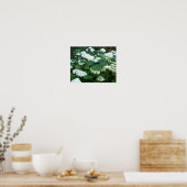 Poster Hydrangeas-Snowball Bush et Feuille (Cuisine)