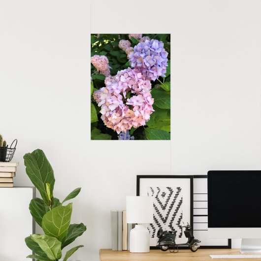 Poster Hydrangée (Bureau à domicile)