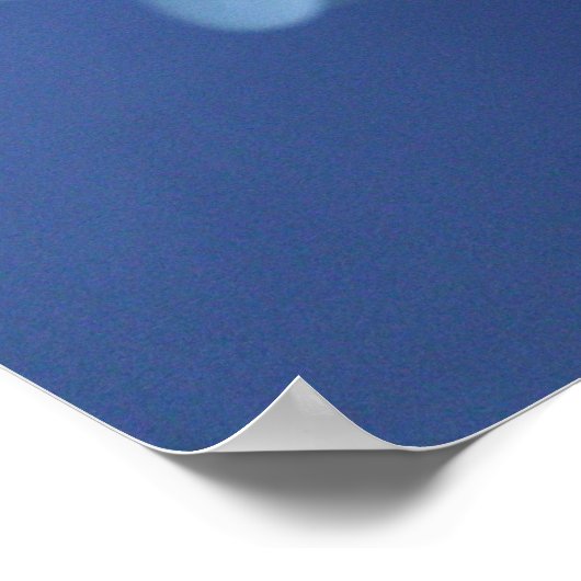 Poster Hydrangée 11 (Coin)