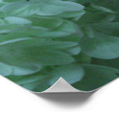 Poster Hydrangée 19 (Coin)