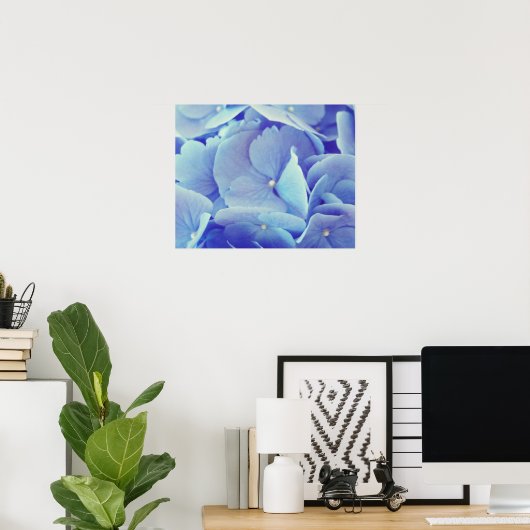 Poster Hydrangée bleue (Bureau à domicile)