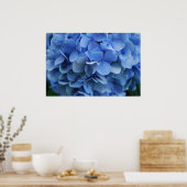 Poster Hydrangée bleue (Cuisine)