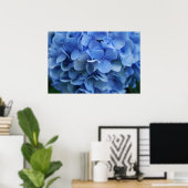 Poster Hydrangée bleue (Bureau à domicile)