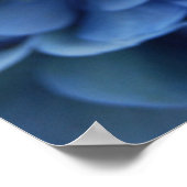 Poster Hydrangée bleue (Coin)