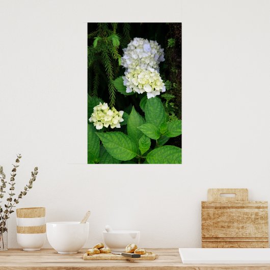 Poster Hydrangée dans la forêt (Cuisine)
