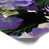 Poster Hydrangées bleues pour bébés français (Coin)