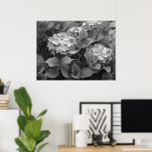 Poster Hydrangées noires et blanches (Bureau à domicile)