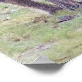 Poster Hyena Wildlife of Africa (Coin)