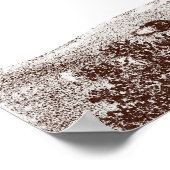 Poster Hyène tachetée ou tachetée à partir de l'ancienne  (Coin)