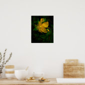 Poster Hypernium-Fleurs de l'esprit (Cuisine)