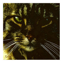 Hypnose de l'Art numérique de chats