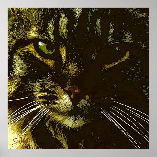 Poster Hypnose de l'Art numérique de chats (Devant)