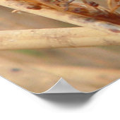 Poster I1 Libellule verte (Coin)