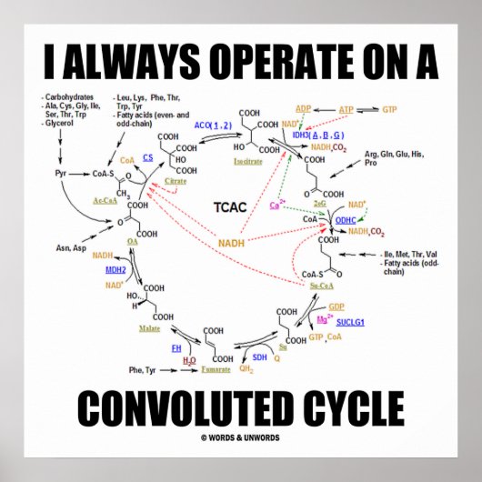 Poster I Always Operate On A Convoluted Cycle (cancer) (Devant)