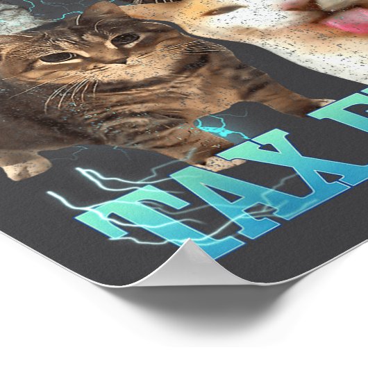 Poster I Commit Tax Fraud Funny Cat Meme Bootleg Graphic  (Coin)