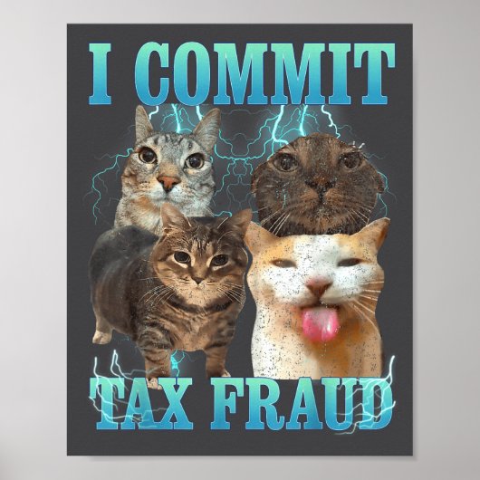 Poster I Commit Tax Fraud Funny Cat Meme Bootleg Graphic  (Devant)