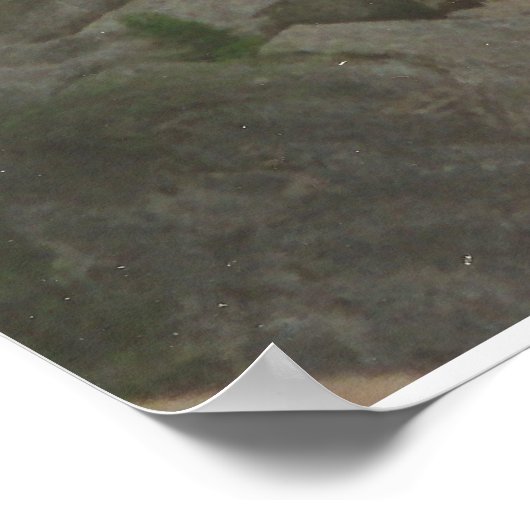 POSTER I CORINTHIANS 2:9 (Coin)