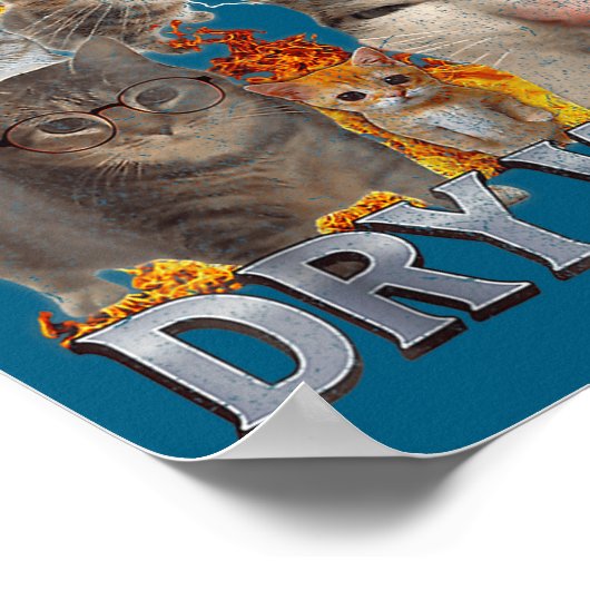 Poster I Eat Drywall Funny Cat Meme Bootleg Graphic  (Coin)