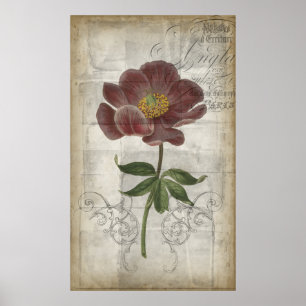 Poster I floral français