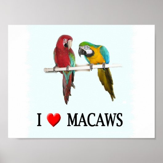 Poster I "Heart Macaws (Devant)