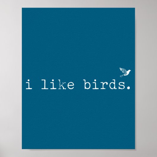 Poster I Like Birds Funny Minimalist Birdwatching Introve (Devant)