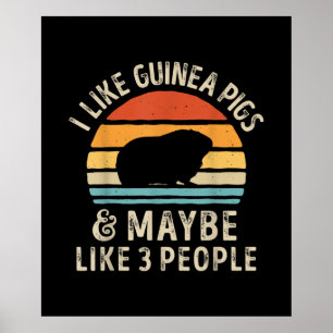 Poster I Like Guinea Pigs And Maybe 3 People Funny