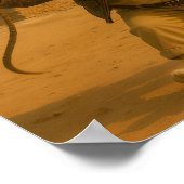 Poster "I Like My Whip" (Coin)