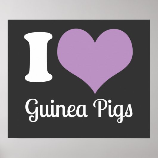 Poster I Love Guinea Pigs (Devant)