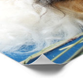 Poster I Love Guinea Pigs (Coin)