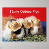 Poster I Love Guinea Pigs (Devant)