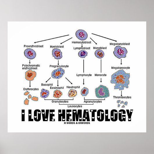 Poster I Love Hematology (Devant)