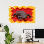 Poster I Love Newts Fine Art Prints (Bureau à domicile)