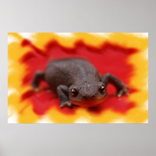 Poster I Love Newts Fine Art Prints (Devant)