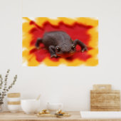 Poster I Love Newts Fine Art Prints (Cuisine)