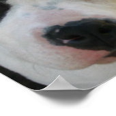 Poster I Love Pitbulls (Coin)