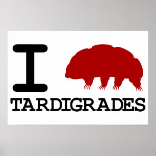 Poster I Love Tardigrades