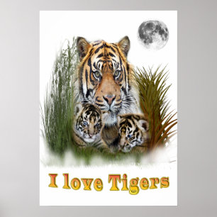 Poster I love tigers