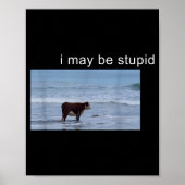 Poster I May Be Stud Cow Meme I May Be Stud Funny (Devant)
