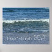 Poster I need Vitamin SEA (Devant)
