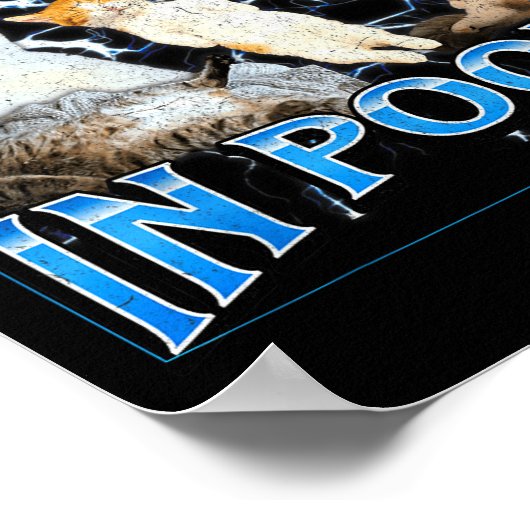 Poster I Pee In Ols Funny Offensive Cat Meme Bootleg Grap (Coin)