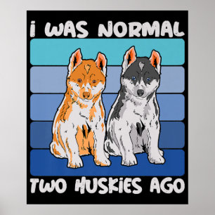 Poster I Quoi Normal Deux Huskies Shiba Dog