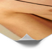 Poster Ian Somerhalder Shirless (Coin)