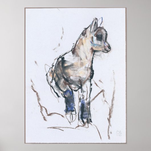 Poster Ibex Kid (Devant)