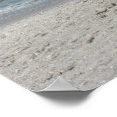 Poster Ibis Beach (Coin)