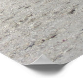 Poster Ibis Beach (Coin)