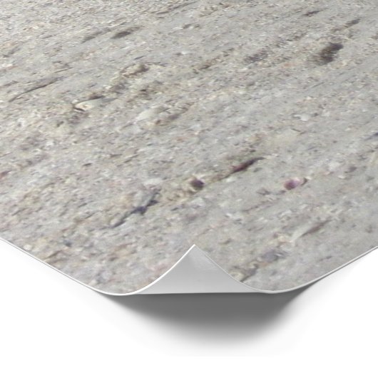 Poster Ibis Beach (Coin)